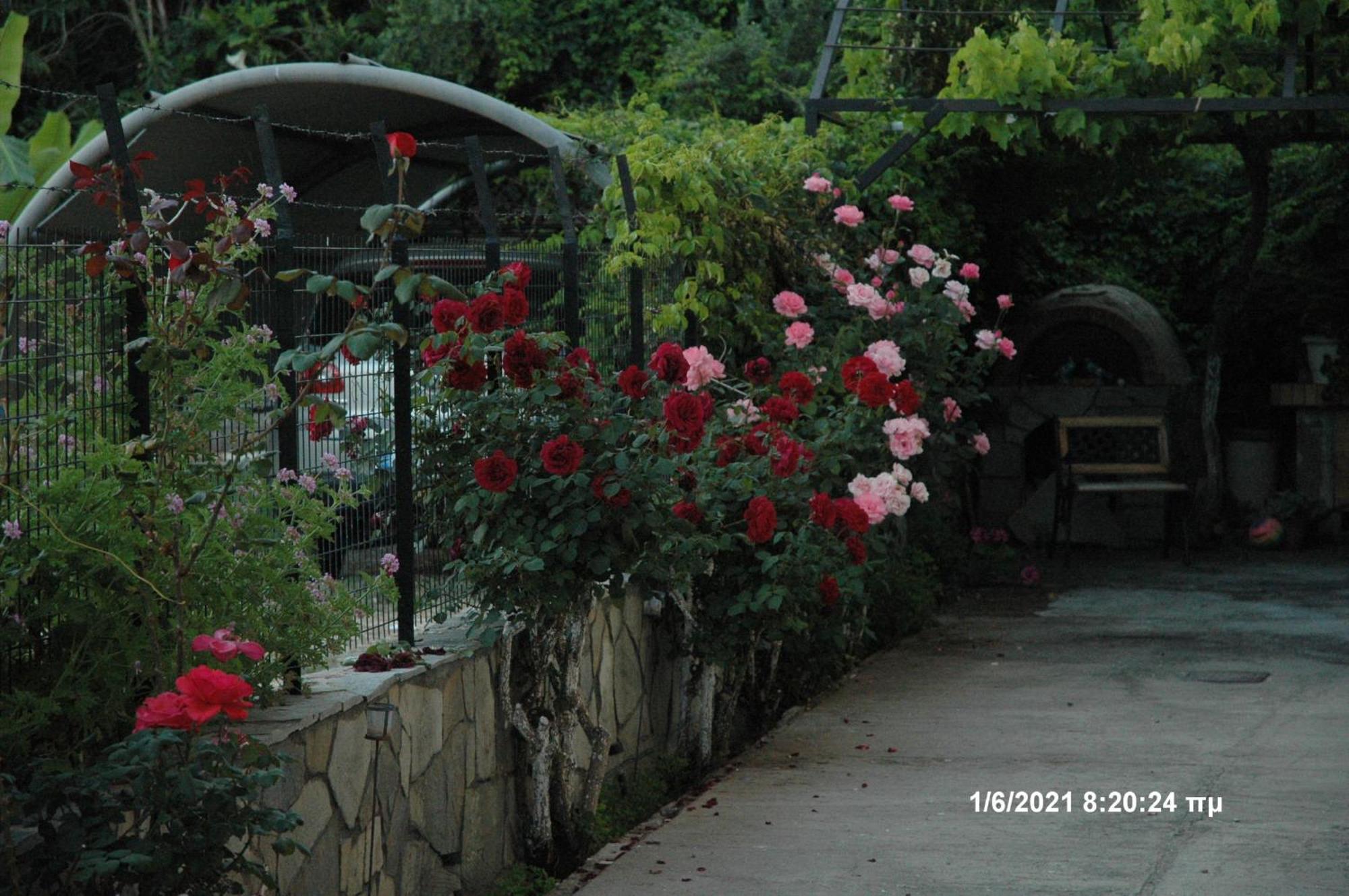 Mare - Mare B Hotel Patras Exterior photo