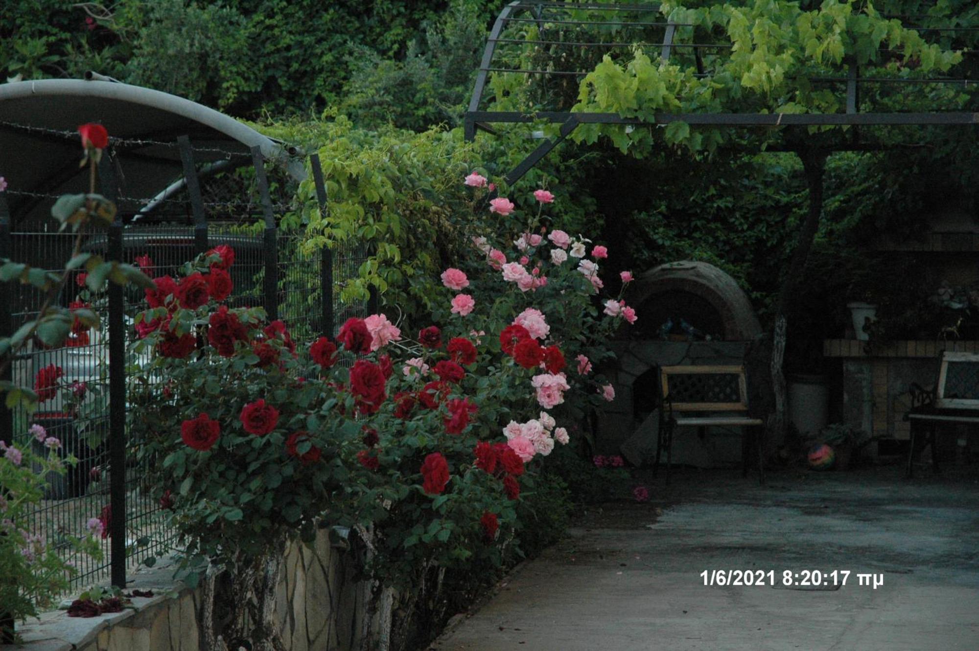 Mare - Mare B Hotel Patras Exterior photo